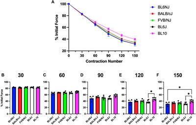 Isometric skeletal muscle contractile properties in common strains of male laboratory mice